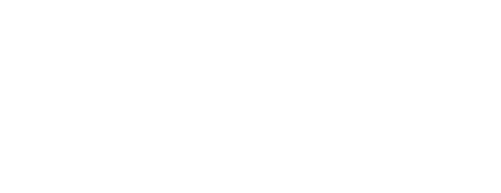 Gowara Moda Festa